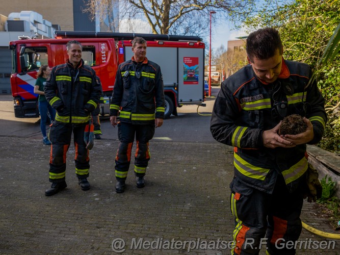 Mediaterplaatse buitenbrand boelekade gouda 30032023 Image00004
