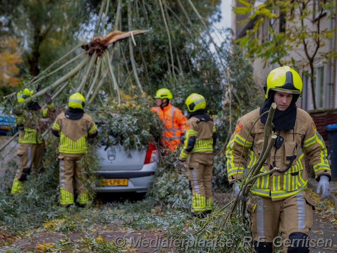 Mediaterplaatse storm willemmina van pruisenlaan gouda 02112023 Image00001