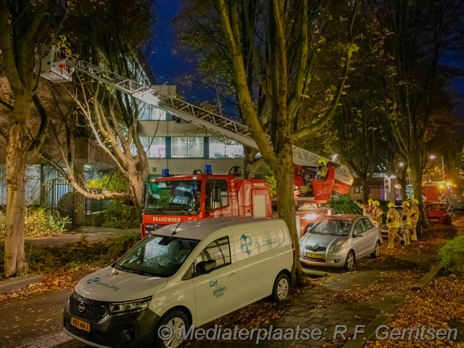 Mediaterplaatse storm schade boom om 02112023 Image00002