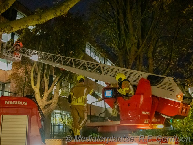 Mediaterplaatse storm schade boom om 02112023 Image00004
