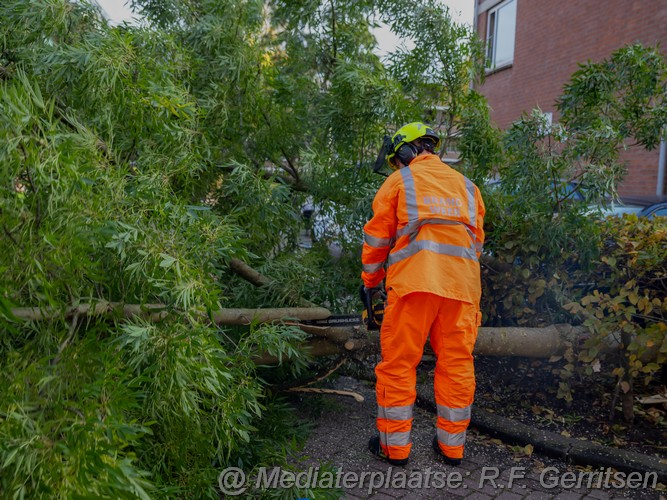Mediaterplaatse stormschade ronsseweg gouda 29102023 Image00006