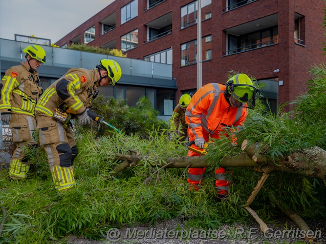 Mediaterplaatse stormschade ronsseweg gouda 29102023 Image00008