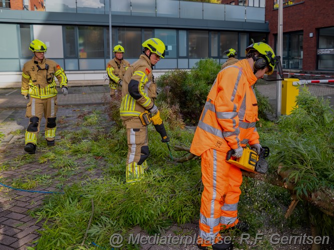 Mediaterplaatse stormschade ronsseweg gouda 29102023 Image00009