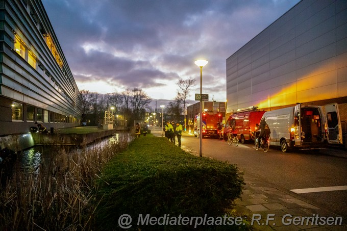 Mediaterplaatse dier in nood calslaan gouda 30012023 Image00003