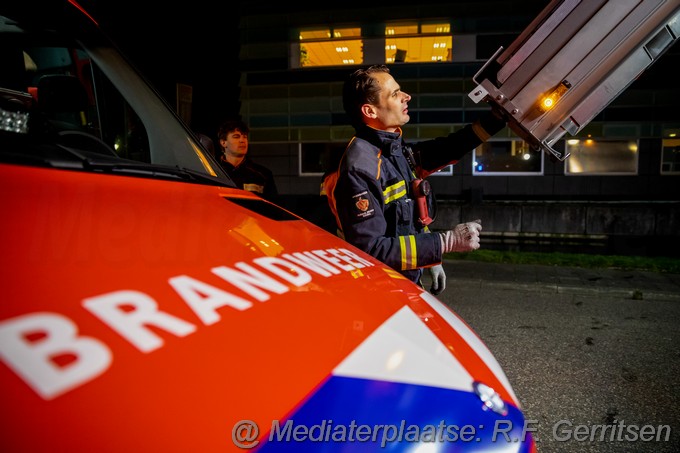 Mediaterplaatse dier in nood calslaan gouda 30012023 Image00015