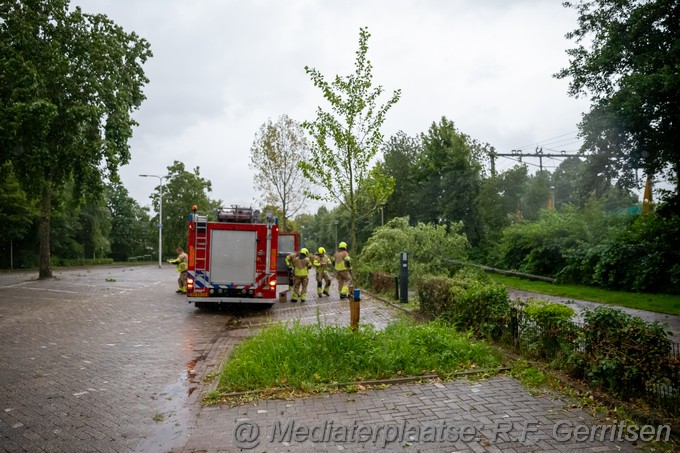 Mediaterplaatse Storm schade vossenburchkade gouda Image00001