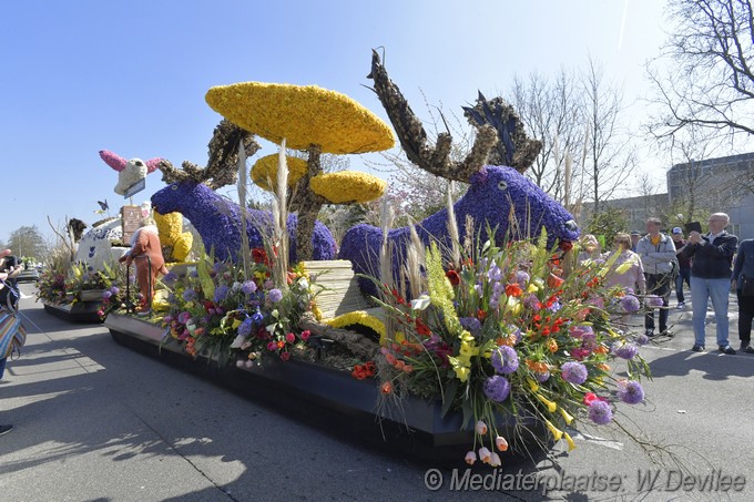 Mediaterplaatse bloemen corso voorhout 12042025 Image00007