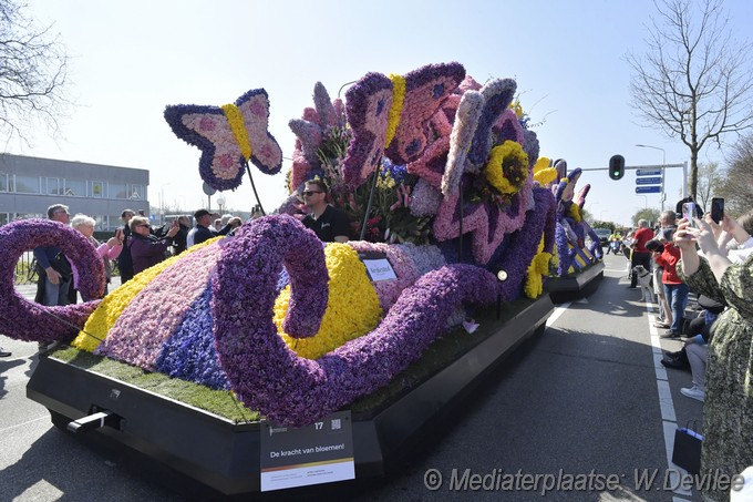 Mediaterplaatse bloemen corso voorhout 12042025 Image00012