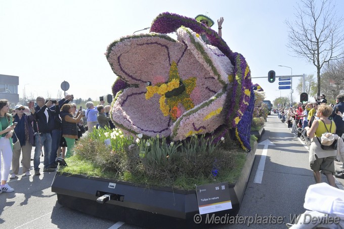 Mediaterplaatse bloemen corso voorhout 12042025 Image00048
