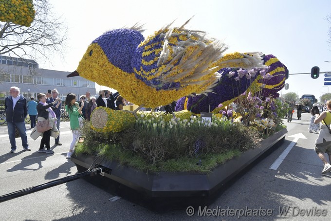 Mediaterplaatse bloemen corso voorhout 12042025 Image00049