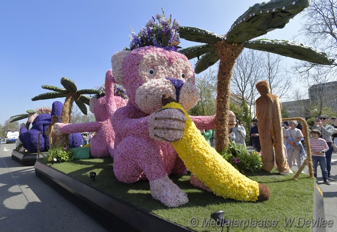 Mediaterplaatse bloemen corso voorhout 12042025 Image00056