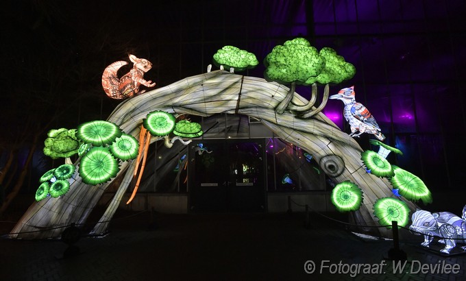 Mediaterplaatse Light Nights renhe 04012025 Image01206