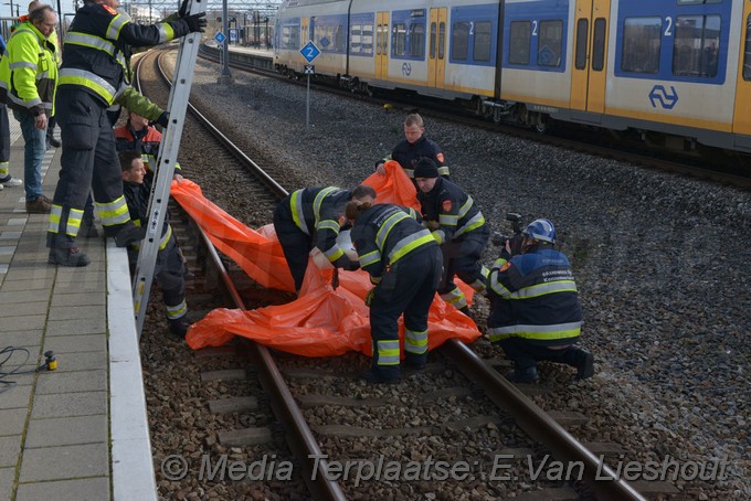 Mediaterplaatse zwaan vast spoor hdp 11022019 Image00010