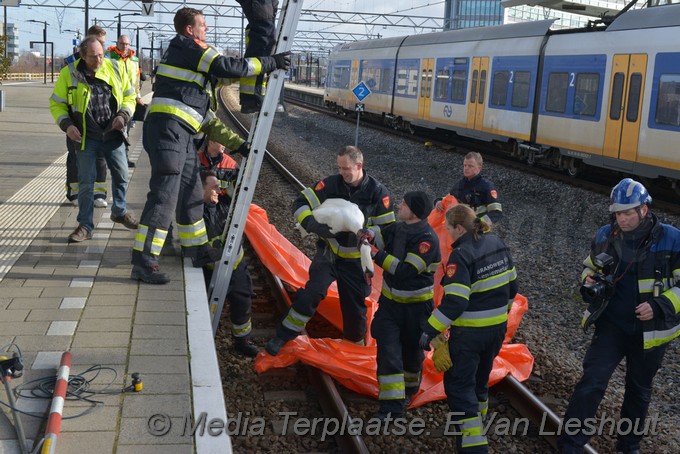 Mediaterplaatse zwaan vast spoor hdp 11022019 Image00011