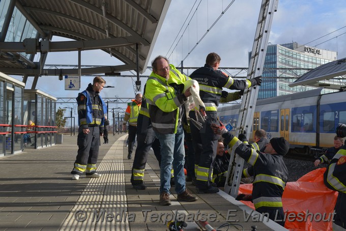 Mediaterplaatse zwaan vast spoor hdp 11022019 Image00013