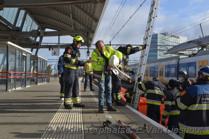 Mediaterplaatse zwaan vast spoor hdp 11022019 Image00015