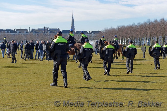 Mediaterplaatse ado malie veld denhaag 24022019 Image00002