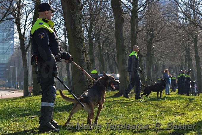 Mediaterplaatse ado malie veld denhaag 24022019 Image00003