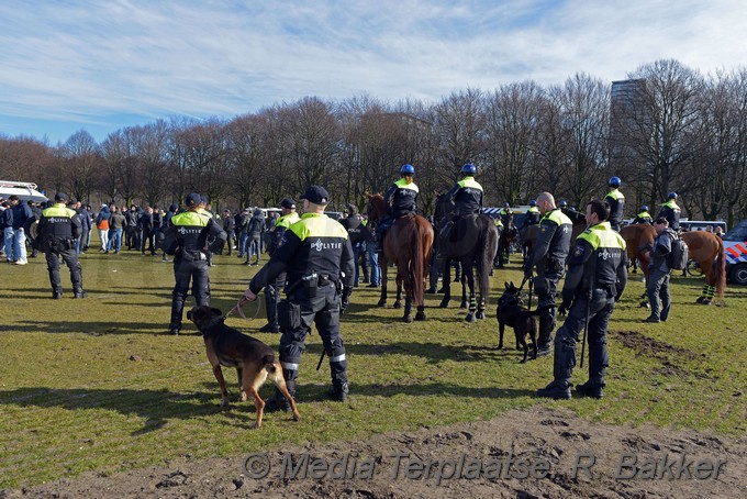 Mediaterplaatse ado malie veld denhaag 24022019 Image00007