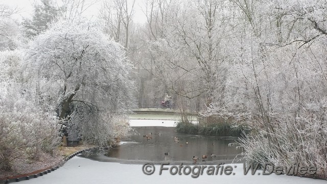 Mediaterplaats Winter foto leiden 18012017 Image00003