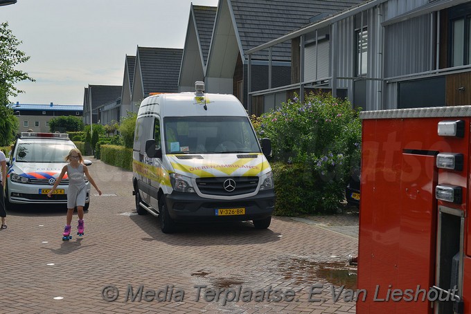 MediaTerplaatse brand isolatie hoofddorp 15072017 Image00012