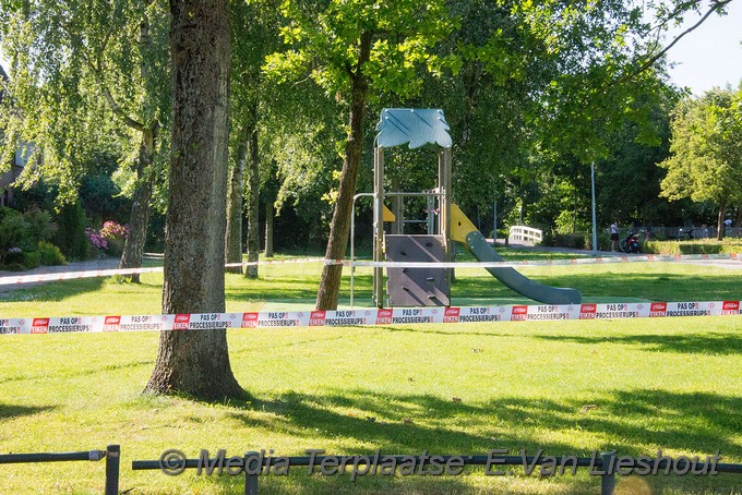 Mediaterplaatse eikenprocessierups overlast hoofddorp 2862019 Image00012