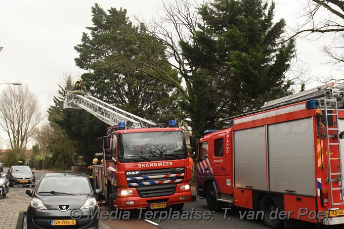 Mediaterplaatse storm schade boom herensingel leiden ldn 16032019 Image00002