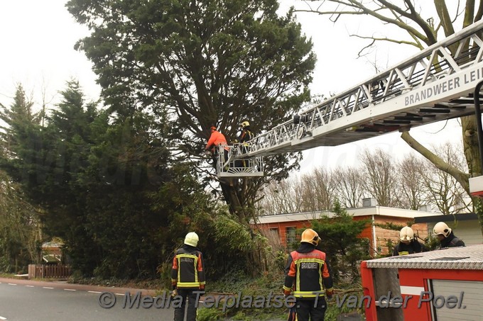 Mediaterplaatse storm schade boom herensingel leiden ldn 16032019 Image00005