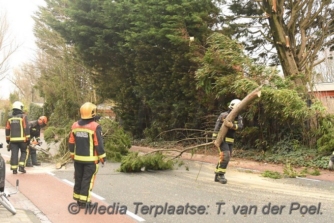 Mediaterplaatse storm schade boom herensingel leiden ldn 16032019 Image00006