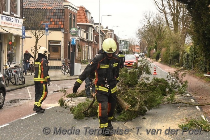 Mediaterplaatse storm schade boom herensingel leiden ldn 16032019 Image00007