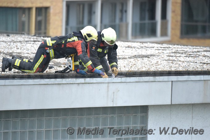 Mediaterplaatse meeuw vast gevel moskee marnixstraat leiden 12092018 Image00007