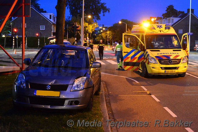 Mediaterplaatse kopstaart churchilllaan leiden 13102018 Image00002