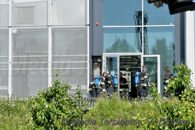 Mediaterplaatse onkruid bestrijden gaat mis hoofddorp 06062018 Image00007