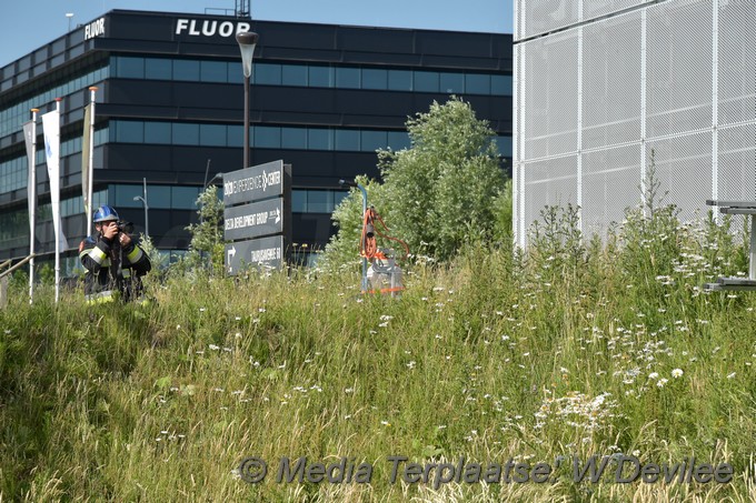 Mediaterplaatse onkruid bestrijden gaat mis hoofddorp 06062018 Image00010