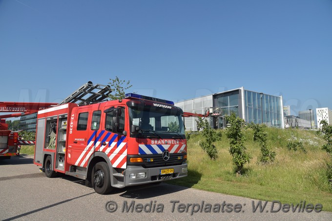 Mediaterplaatse onkruid bestrijden gaat mis hoofddorp 06062018 Image00011