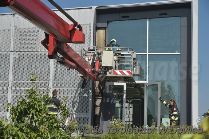Mediaterplaatse onkruid bestrijden gaat mis hoofddorp 06062018 Image00012