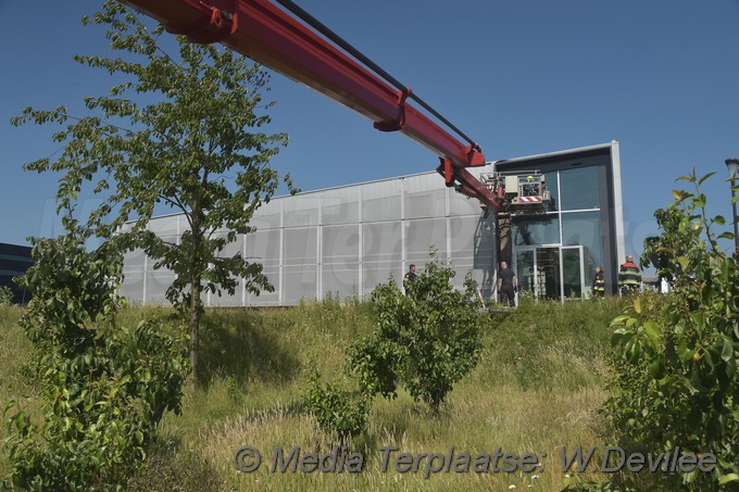 Mediaterplaatse onkruid bestrijden gaat mis hoofddorp 06062018 Image00013