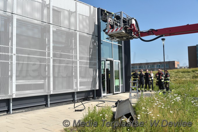 Mediaterplaatse onkruid bestrijden gaat mis hoofddorp 06062018 Image00014
