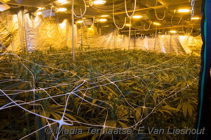 Mediaterplaatse gezamelijke controle hdp 12052017 Image00015