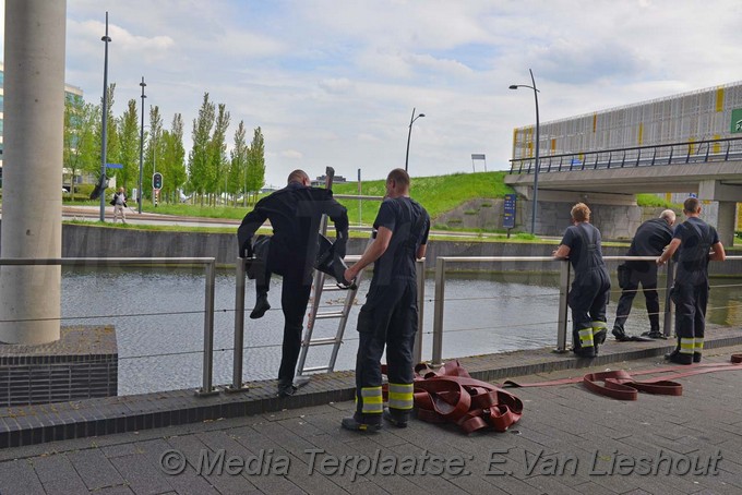 Mediaterplaatse ganzen vangen hdp 16052017 Image00004