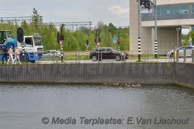 Mediaterplaatse ganzen vangen hdp 16052017 Image00010