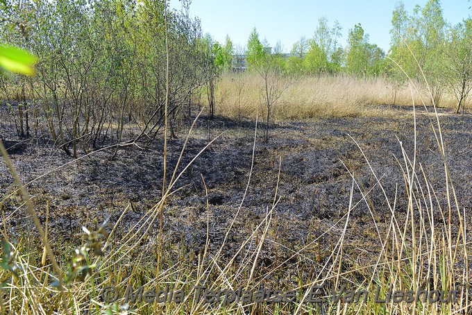 Mediaterplaatse natuurbrand zwaanshoek 04052018 Image00008