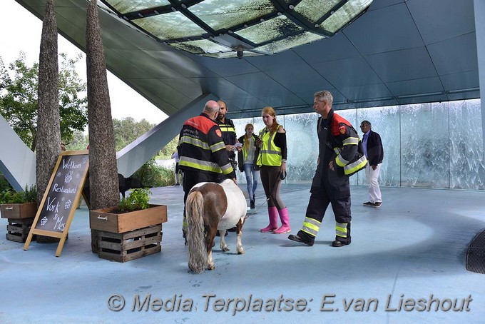 Mediaterplaatse redden dier hoofddorp 04082016 Image00012