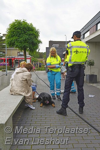 Mediaterplaatse brandje woning hoofddorp 22082016 Image00013