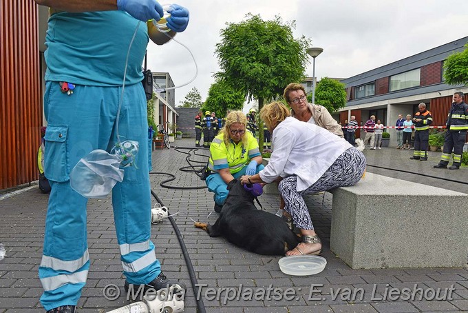 Mediaterplaatse brandje woning hoofddorp 22082016 Image00014