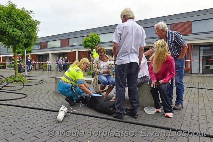Mediaterplaatse brandje woning hoofddorp 22082016 Image00017