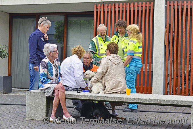 Mediaterplaatse brandje woning hoofddorp 22082016 Image00019