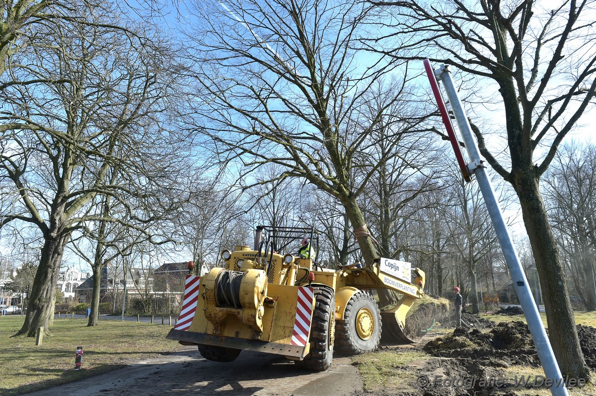 MediaTerplaatse bomen verplaatst ivm nieuwbouw ldn 05032018 Image00001