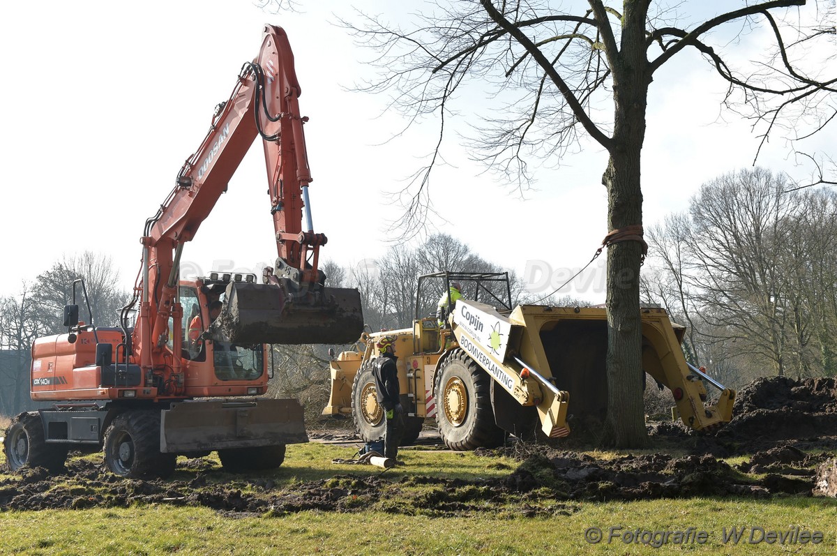 MediaTerplaatse bomen verplaatst ivm nieuwbouw ldn 05032018 Image00009