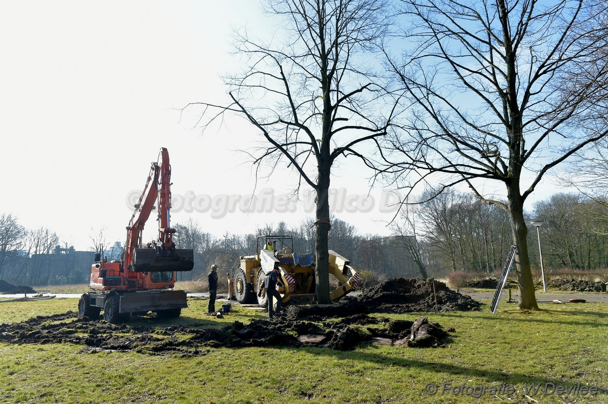 MediaTerplaatse bomen verplaatst ivm nieuwbouw ldn 05032018 Image00203